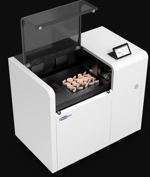 NextDent 300